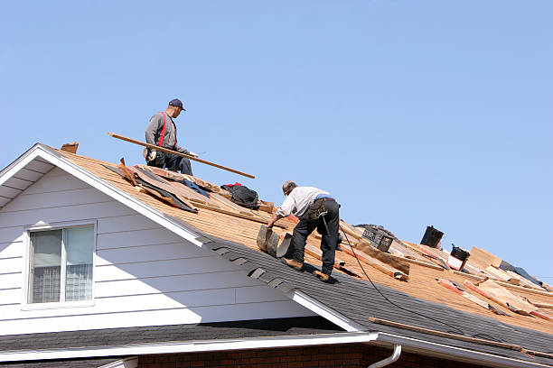 Best Cold Roofs  in Judsonia, AR
